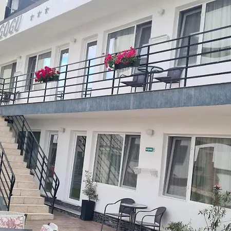Guest house Casa Gogu 3*